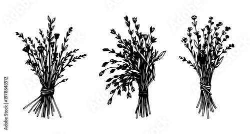Dry herb bundle set with sketchy black line art on white background featuring dry herbs, tea, bundle with line drawing and white canvas