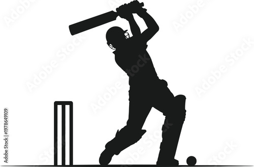 Silhouette of a cricketer in action