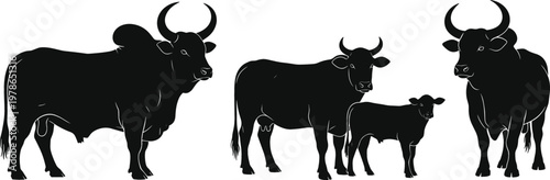 Black silhouettes of cattle herd with adult oxen and calf for agricultural, rural and decorative vector design projects