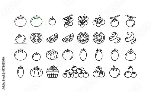 Tomato harvest with ripe red tomatoes, green tomatoes, vine clusters, sliced halves and garden picked produce clean monoline