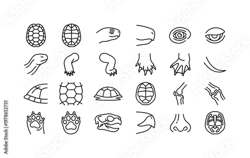 Turtle parts with shells, heads, limbs, tails, claws, and structural features clean monoline outline icon set showing exactly 24
