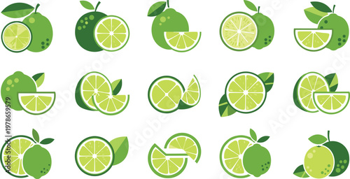 Green lime fruit icon set with whole and sliced citrus elements, fresh juicy tropical food collection, detailed flat vector illustration isolated on transparent background