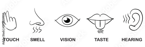 Five Senses Icons: Touch, Smell, Vision, Taste, Hearing - Simple Line Art