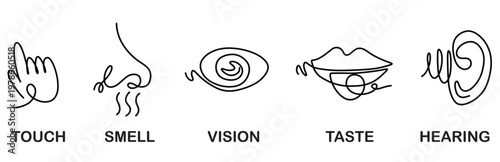 Five Senses Icons: Touch, Smell, Vision, Taste, Hearing - Line Art