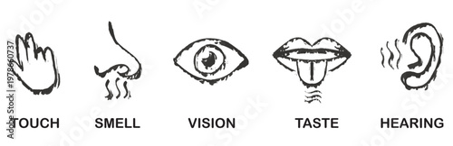 Five Senses Icons: Touch, Smell, Vision, Taste, Hearing - Vector Graphic