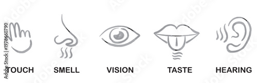 Five Senses Icons: Touch, Smell, Vision, Taste, Hearing - Simple Line Art