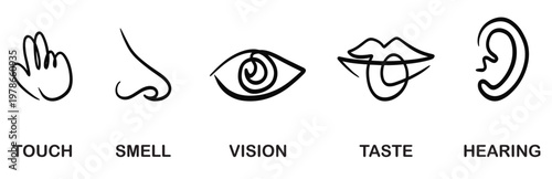 Five Senses Icons: Touch, Smell, Vision, Taste, Hearing - Simple Line Art