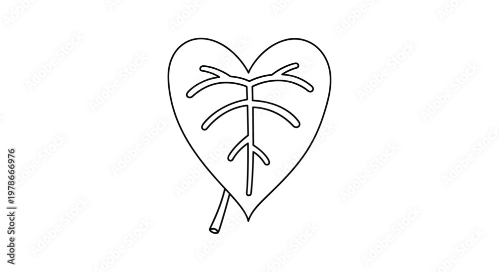 Fototapeta premium Simple black and white line art of a heart-shaped leaf with prominent veins is a clean and organic botanical design element.