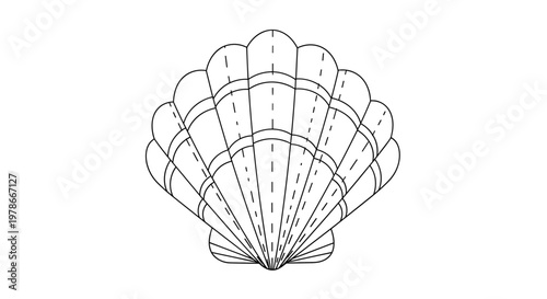 Simple black line drawing of a scallop seashell shows its iconic fan shape with radiating ridges and a small base on a white background.