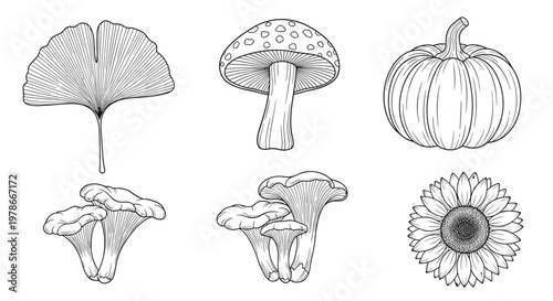 Detailed black and white sketches of autumn nature elements include a ginkgo leaf, mushrooms, a pumpkin, and a sunflower on a white background.