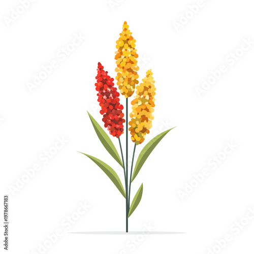 Colorful Sorghum Plant with Red and Yellow Blooms