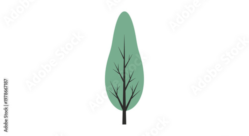 Minimalist illustration of a single tree shows a slender dark trunk and a tall, narrow, oval-shaped green canopy against a white background.