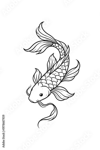 koi fish vector 