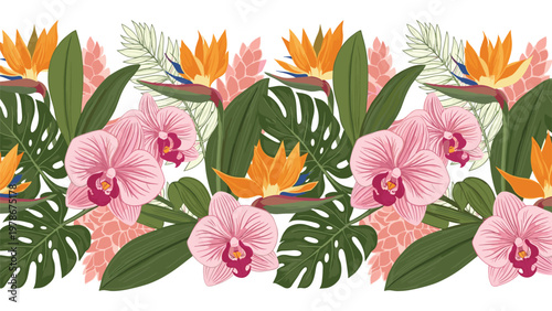 Horizontal border of tropical flowers including pink orchids and orange bird of paradise with monstera leaves on white background.