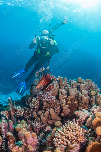 Underwater photographer taking pictures of Lionfish over a coral reef in the Red Sea.
