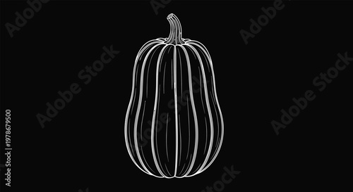 Long squash variety is presented in a detailed white line drawing on a solid black background, ideal for autumn or harvest-themed designs.