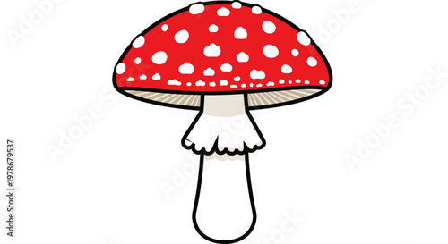 Amanita Muscaria Mushroom Vector Illustration, Flat Style Graphic of a Red Toadstool with White Spots Isolated on White Background for Nature Design Projects
