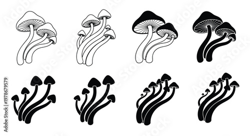 Array of eight mushroom silhouettes and line drawings shows various species and styles, perfect for botanical illustrations and nature themes.