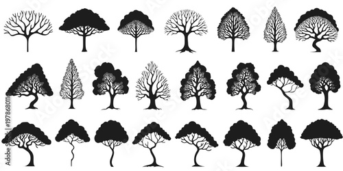 Varied tree silhouettes collection with intricate branching patterns silhouette illustration seasonal evergreen deciduous landscape background isolated minimalist