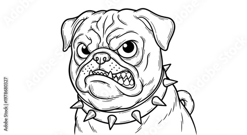 Angry Pug Dog with Spiked Collar Vector Illustration, Aggressive Cartoon Pet Portrait for T-Shirt Design and Mascot Graphic