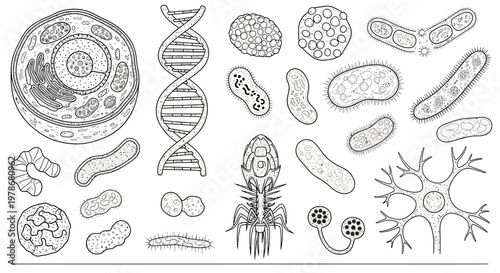 Cells and microorganisms are depicted in this scientific biology.