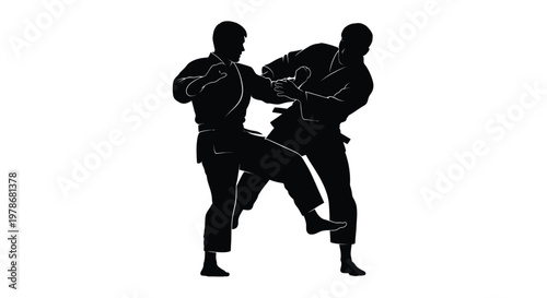 Two martial artists practicing a fighting technique dramatic silhouette