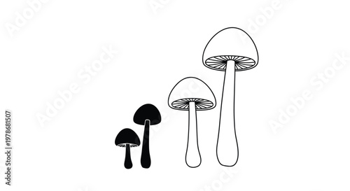Simple line art and silhouette illustration of four mushrooms in varying sizes from small to large on a white background.