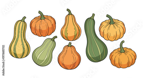 Assortment of eight colorful pumpkins and squash in various shapes including orange, green, and striped varieties.