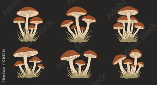 Various clusters of brown wild mushrooms growing in small patches of grass illustrated against a solid black background.