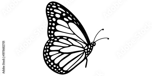 Photography A simple black and white outline illustration of a monarch butterfly shown from