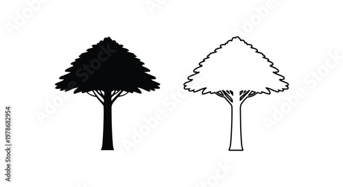 Two cypress trees one dark and one light shown as a silhouette