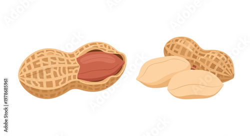 Detailed illustration of peanuts in shells with one opened to reveal kernels and several loose nut pieces on plain white background.
