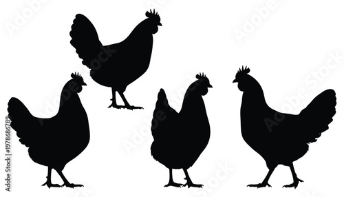 Vector set of chicken silhouettes