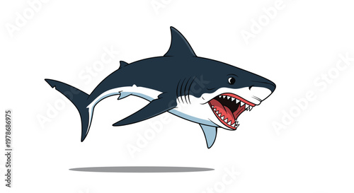 Large great white shark leaps out of the ocean water with its mouth wide open showing rows of sharp dangerous teeth ready to hunt its prey.