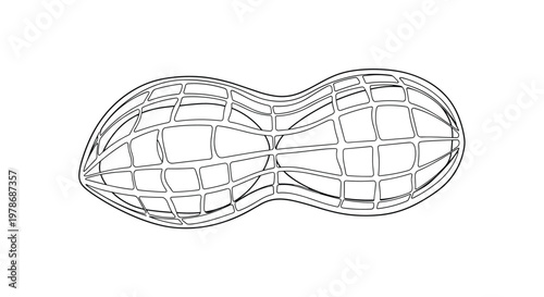 Wireframe three dimensional mesh drawing of a single peanut in its shell is shown from a side perspective view against a plain white background.
