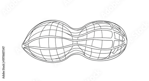 Detailed wireframe mesh drawing of a single peanut shell is shown in a three dimensional perspective view against a plain white background.