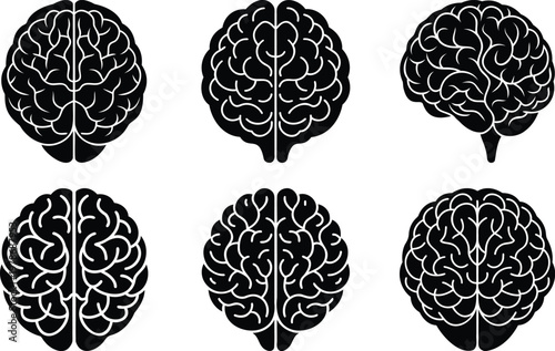 Detailed anatomical illustrations of the human brain, showcasing various perspectives and internal structures for medical and scientific use.