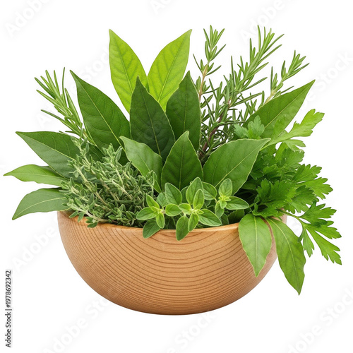 Lush green potted plant with vibrant foliage in a woven basket
