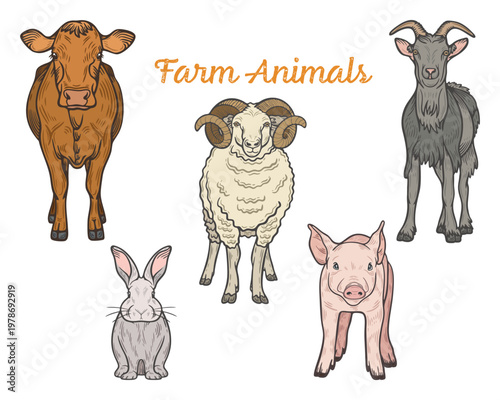 Farm animals set, cow, ram, goat, pig, rabbit, standing, front view, domesticated cattle, colourful, hand-drawn illustration, line art contour, isolated