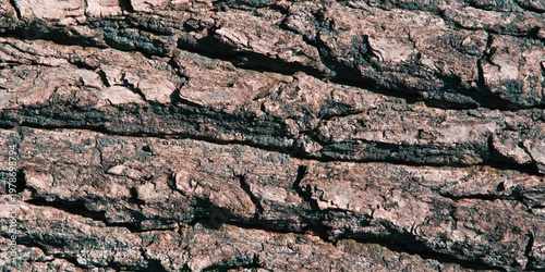 Fotografi Close-up texture of greyish-brown tree bark with prominent horizontal ridges and deep natural cracks