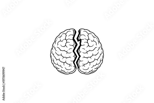 Stylized illustration of a cracked human brain symbolizing mental health issues