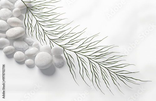 Minimalist composition with smooth white pebbles and delicate green fern leaves arranged diagonally on light surface creating calm balanced natural aesthetic Generative Ai.