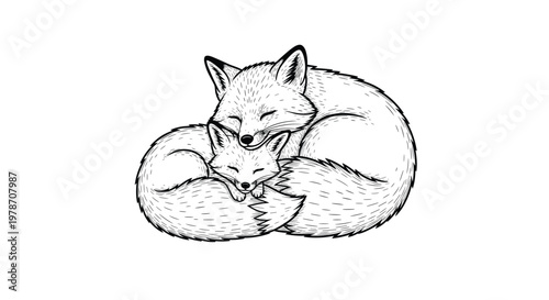 Peaceful line art illustration of a mother fox and her cub sleeping curled up together in a detailed woodcut style.
