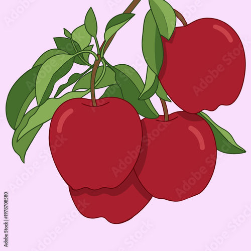 Fresh Red Apples Hanging on a Tree Branch with Green Leaves Vector Illustration