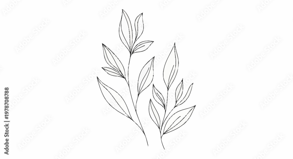 Fototapeta premium Minimalist Line Art Drawing of Delicate Plant Stems with Leaves.