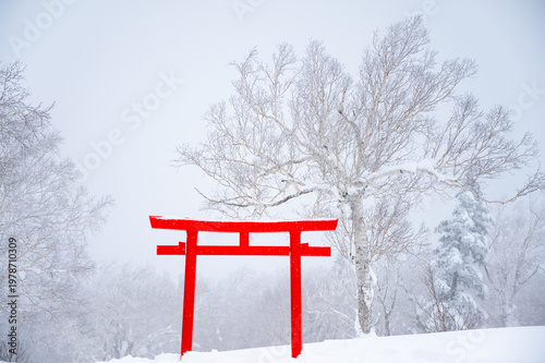 Japanese Torii Prayer Gate In Snow