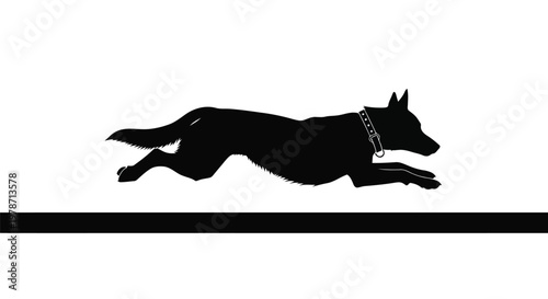 Black dog silhouette running with collar