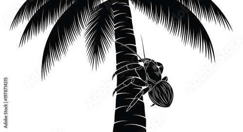 Black silhouette of a coconut crab climbing a palm tree