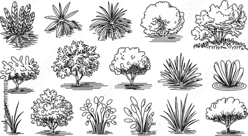 Collection of diverse trees and shrubs various types and sizes sketched style outdoor plants for landscape design vector illustration.
