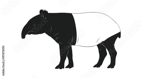 Malayan tapir standing side view